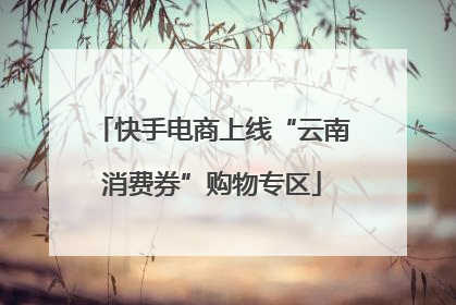 快手电商上线“云南消费券”购物专区